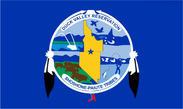 [Duck Valley Shoshone-Paiute, Nevada flag]