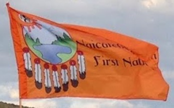 [Naicatchewenin First Nation, Ontario flag]