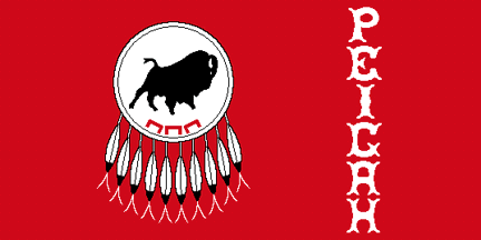 [Piikani Nation, Alberta flag]