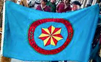 [United Cherokee Ani-Yun-Wiya Nation flag]