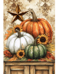 [Rustic Pumpkins Banner]