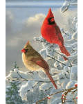 [Winter Cardinals Banner]