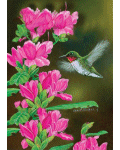 [Opening Day Hummingbird Banner]