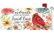 [Cardinals Appear Mailbox Cover]