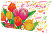 [Tulips Mailbox Cover]