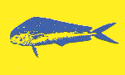 [Dolphin (fm yellow) - Fisherman's Catch Flag]