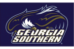 Georgia Southern flag