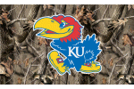 University of Kansas flag
