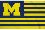 [University of Michigan Flag]