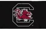 [University of South Carolina Flag]