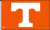 University of Tennessee flag