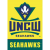 [University of North Carolina - Wilmington Flag]