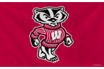 [University of Wisconsin Flag]
