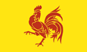 [Wallonia, Belgium Flag]