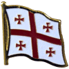[Georgia Republic Flag Pin]