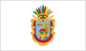 [Guerrero, Mexico Flag]