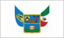 [Hidalgo, Mexico Flag]