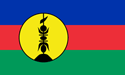 [New Caledonia Flag]