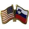 [U.S. & Slovenia Flag Pin]