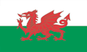[Wales Flag]