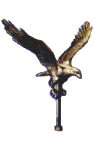 [Style 2 Eagle]
