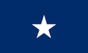 [Confederate Bonnie Blue Flag]