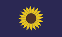 [Kansas Official Banner Flag]
