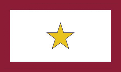 Service Star 3x5' Flag 1 Gold Star