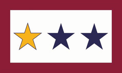 Service Star 3x5' Flag 1 Gold 2 Blue Star