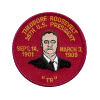 Theodore Roosevelt patch