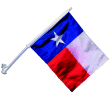 [Texas Car Flag]