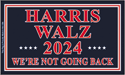 Harris 2024 nylon flag