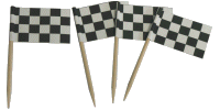 [Racing Checkered Toothpick Flags]