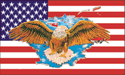 [U.S. w/Eagle Flag]