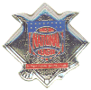 [National League Logo Pin]
