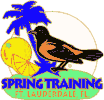 Orioles Spring Training Bird pin