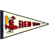 Red Sox Pennant Pin