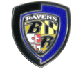 Ravens Shield Pin
