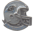 Panthers Helmet Pin