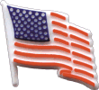 Plastic U.S. flag pin