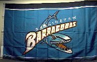 Birmingham Barracudas CFL Team flag