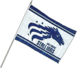 Baltimore Stallions CFL Team stick flag