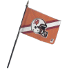 [Buccaneers Stick Flag]