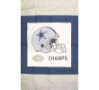 [Cowboys Super Bowl XXX Champs Banner]
