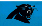 [Panthers Flag]