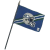 [Seahawks Stick Flag]