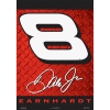 Dale Earnhardt Jr. Banner