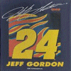 [Jeff Gordon Seat Cushion]