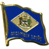[Delaware Flag Pin]