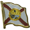 [Florida Flag Pin]